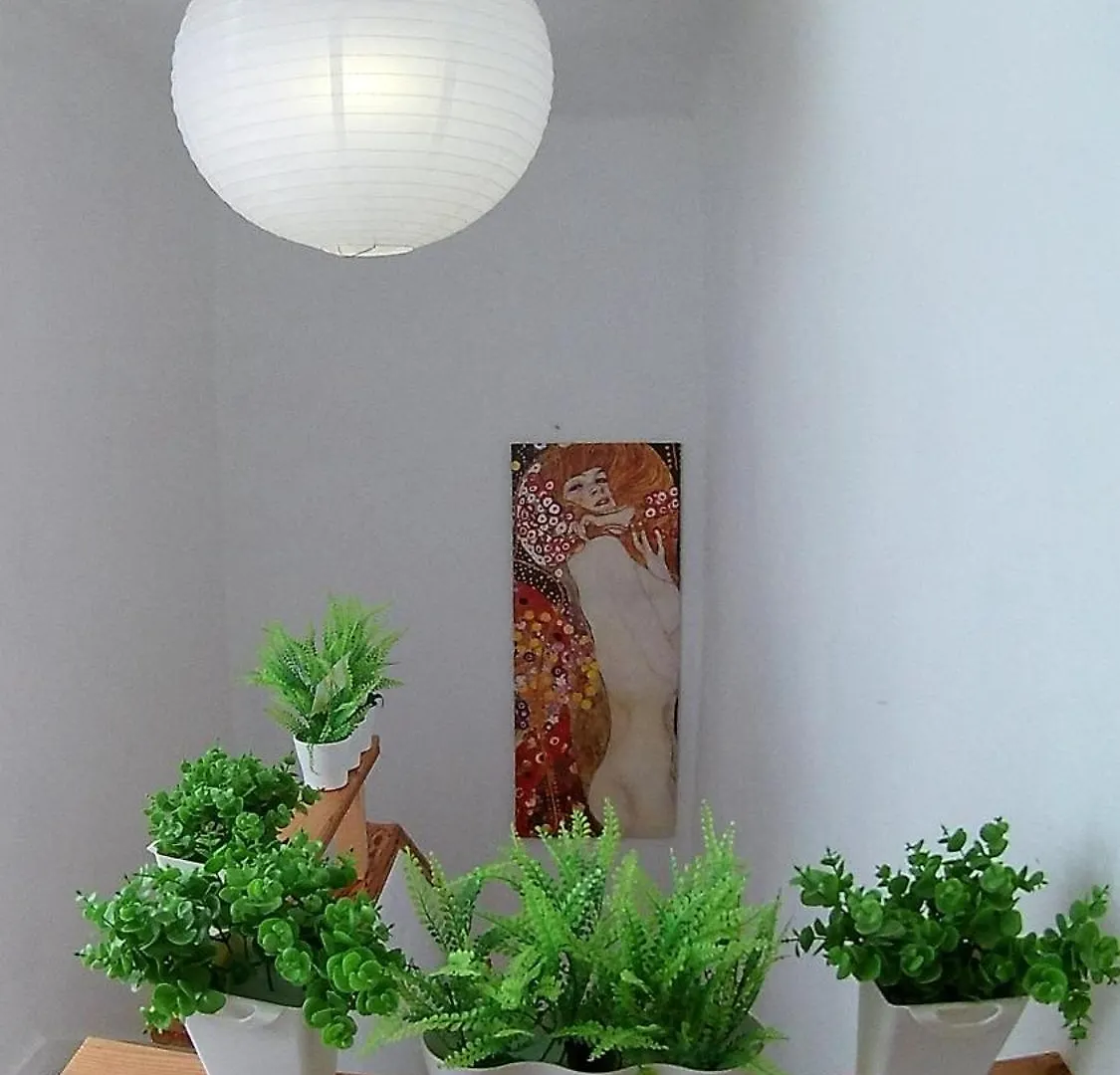 Center Santa Cruz, Alojamiento Centrico Con Gran Terraza, Cocina , Salon Y Banos, Todo Privado